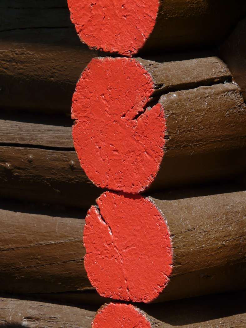 Tecnowood Brescia, tipologie tetti