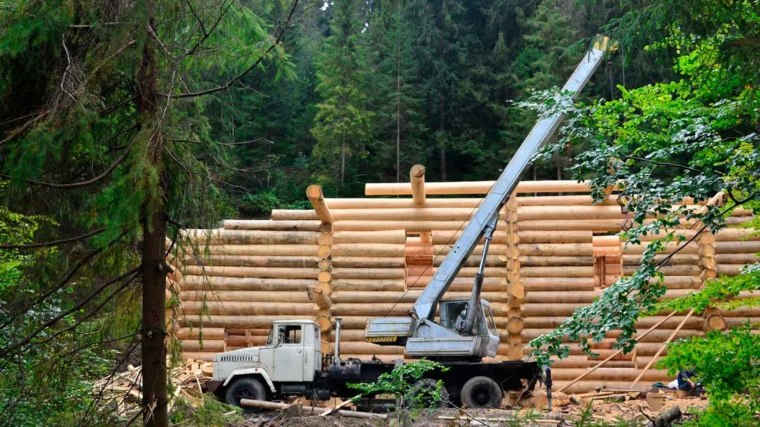 Tecnowood | Dalla tempesta alla rinascita: il legno che racconta